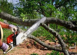 Lawn Watering Services in Hallstead, PA